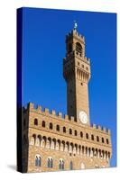 Palazzo Vecchio, Piazza Della Signoria, Florence (Firenze), Tuscany, Italy, Europe-Nico Tondini-Stretched Canvas