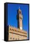 Palazzo Vecchio, Piazza Della Signoria, Florence (Firenze), Tuscany, Italy, Europe-Nico Tondini-Framed Stretched Canvas