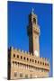 Palazzo Vecchio, Piazza Della Signoria, Florence (Firenze), Tuscany, Italy, Europe-Nico Tondini-Mounted Photographic Print