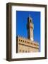 Palazzo Vecchio, Piazza Della Signoria, Florence (Firenze), Tuscany, Italy, Europe-Nico Tondini-Framed Photographic Print