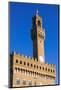Palazzo Vecchio, Piazza Della Signoria, Florence (Firenze), Tuscany, Italy, Europe-Nico Tondini-Mounted Photographic Print