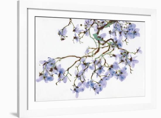 Pale Azure-Jackie Battenfield-Framed Giclee Print