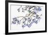 Pale Azure-Jackie Battenfield-Framed Giclee Print