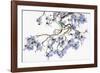 Pale Azure-Jackie Battenfield-Framed Giclee Print