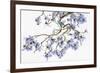 Pale Azure-Jackie Battenfield-Framed Giclee Print