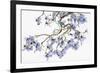 Pale Azure-Jackie Battenfield-Framed Giclee Print