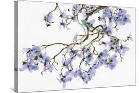 Pale Azure-Jackie Battenfield-Stretched Canvas