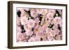 Pale blooming-Heidi Westum-Framed Photographic Print