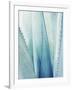 Pale Blue Agave No. 1-Lupen Grainne-Framed Photographic Print