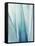 Pale Blue Agave No. 1-Lupen Grainne-Framed Stretched Canvas