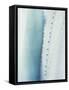 Pale Blue Agave No. 2-Lupen Grainne-Framed Stretched Canvas