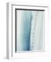 Pale Blue Agave No. 2-Lupen Grainne-Framed Photographic Print