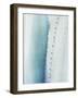 Pale Blue Agave No. 2-Lupen Grainne-Framed Photographic Print