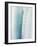 Pale Blue Agave No. 2-Lupen Grainne-Framed Photographic Print