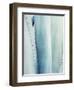 Pale Blue Agave No. 3-Lupen Grainne-Framed Photographic Print