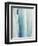 Pale Blue Agave No. 3-Lupen Grainne-Framed Photographic Print