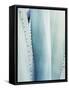 Pale Blue Agave No. 3-Lupen Grainne-Framed Stretched Canvas
