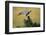 Pale Chanting Goshawk Swallowing Lizard-Paul Souders-Framed Photographic Print