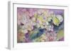 Pale Clouded Yellow Butterfly, Colias Hyale on Hydrangea-Karen Armitage-Framed Giclee Print