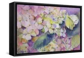 Pale Clouded Yellow Butterfly, Colias Hyale on Hydrangea-Karen Armitage-Framed Stretched Canvas