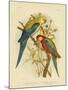 Pale-Headed Parakeet or Pale-Headed Rosella, 1891-Gracius Broinowski-Mounted Giclee Print