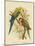 Pale-Headed Parakeet or Pale-Headed Rosella, 1891-Gracius Broinowski-Mounted Giclee Print