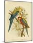 Pale-Headed Parakeet or Pale-Headed Rosella, 1891-Gracius Broinowski-Mounted Giclee Print