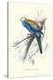 Pale-Headed Parakeet - Platycercus Adscitus-Edward Lear-Stretched Canvas