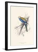 Pale Headed Parakeet-Edward Lear-Framed Premium Giclee Print