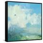 Pale Light-Andrew Kinmont-Framed Stretched Canvas