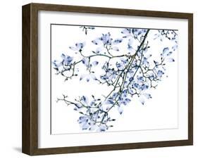 Pale Magnolia-Jackie Battenfield-Framed Giclee Print