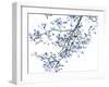 Pale Magnolia-Jackie Battenfield-Framed Giclee Print