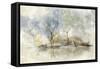 Pale Meadow-Allison Pearce-Framed Stretched Canvas