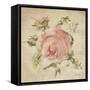 Pale Pink Rose on Antique Linen Light-Cheri Blum-Framed Stretched Canvas
