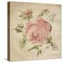 Pale Pink Rose on Antique Linen Light-Cheri Blum-Stretched Canvas