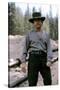 PALE RIDER directed by ClintEastwood, 1985 (photo)-null-Stretched Canvas