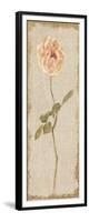 Pale Rose Panel on White Vintage v2-Cheri Blum-Framed Art Print