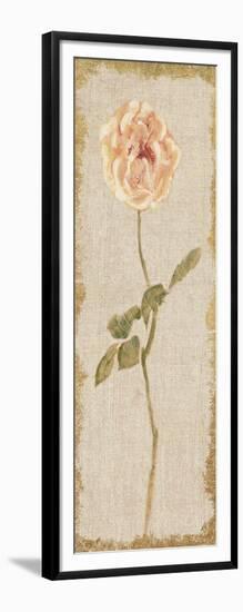 Pale Rose Panel on White Vintage v2-Cheri Blum-Framed Art Print