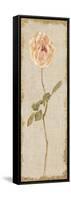Pale Rose Panel on White Vintage v2-Cheri Blum-Framed Stretched Canvas