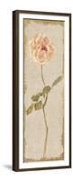 Pale Rose Panel on White Vintage-Cheri Blum-Framed Premium Giclee Print