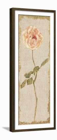 Pale Rose Panel on White Vintage-Cheri Blum-Framed Premium Giclee Print
