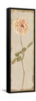 Pale Rose Panel on White Vintage-Cheri Blum-Framed Stretched Canvas