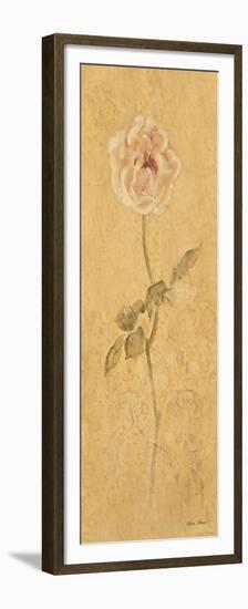Pale Rose Panel-Cheri Blum-Framed Premium Giclee Print