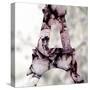 Pale Rose Tower-Tracey Telik-Stretched Canvas