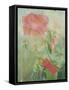 Pale Salmon Pink Rose Against a Window Pane with Heavy Condensation-Woolfitt Adam-Framed Stretched Canvas