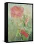 Pale Salmon Pink Rose Against a Window Pane with Heavy Condensation-Woolfitt Adam-Framed Stretched Canvas
