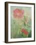 Pale Salmon Pink Rose Against a Window Pane with Heavy Condensation-Woolfitt Adam-Framed Photographic Print