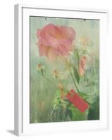 Pale Salmon Pink Rose Against a Window Pane with Heavy Condensation-Woolfitt Adam-Framed Photographic Print