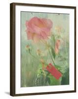 Pale Salmon Pink Rose Against a Window Pane with Heavy Condensation-Woolfitt Adam-Framed Photographic Print