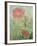 Pale Salmon Pink Rose Against a Window Pane with Heavy Condensation-Woolfitt Adam-Framed Photographic Print